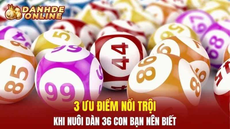 3 ưu điểm nổi trội khi nuôi dàn 36 con bạn nên biết