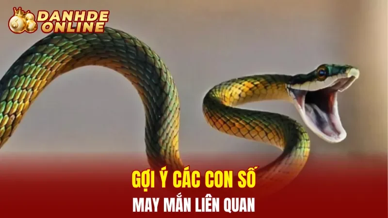 Gợi ý các con số may mắn liên quan